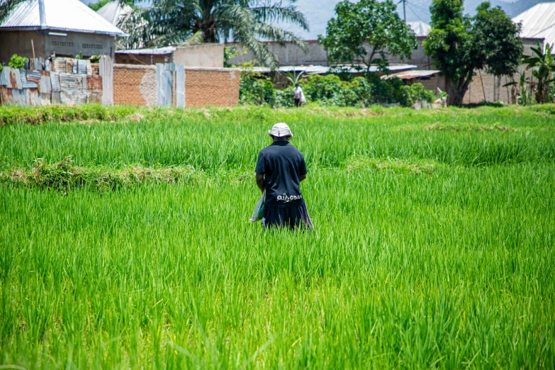 a man walking through a lush green field