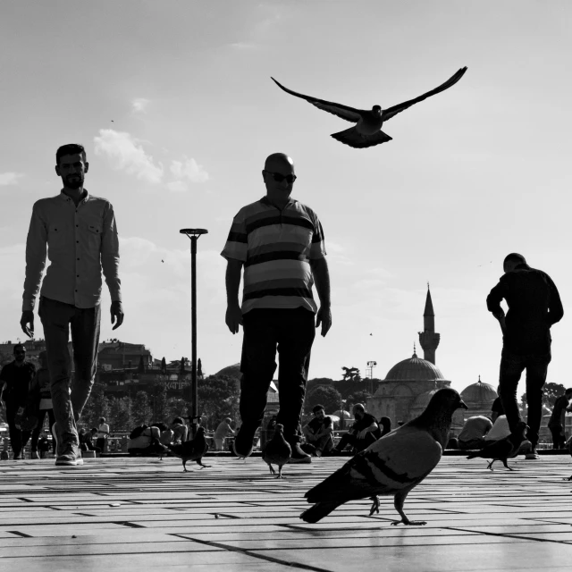 several people on the street and one bird is flying