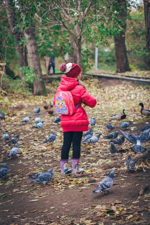 a child standing in a forest with lots of ducks