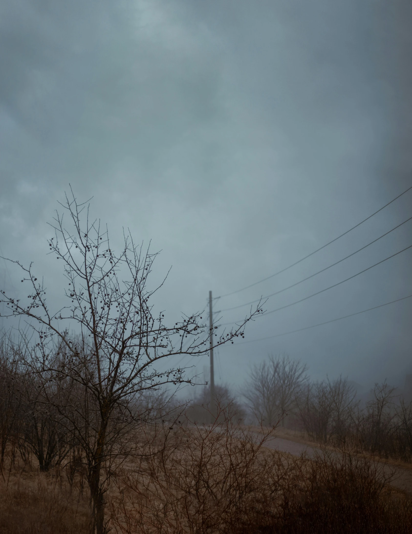 an empty road on a foggy day near power lines