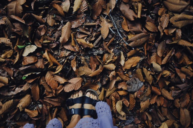 person's feet standing on leafy ground surrounded by yellow, brown and purple leaves