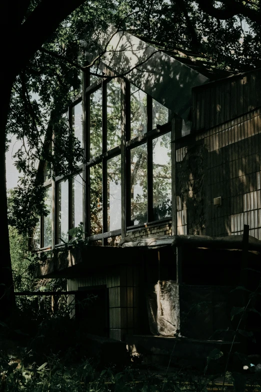 a view of a house in the woods during the daytime