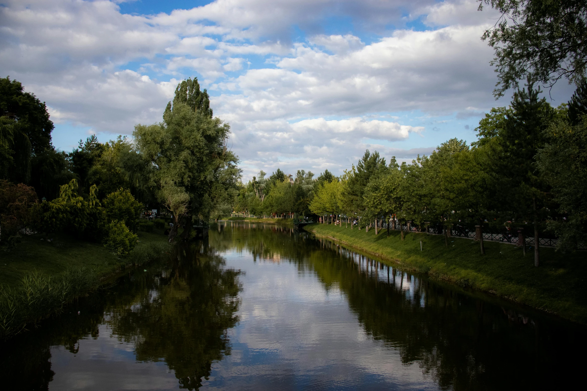 the river is calm, just beyond the forest and a few benches