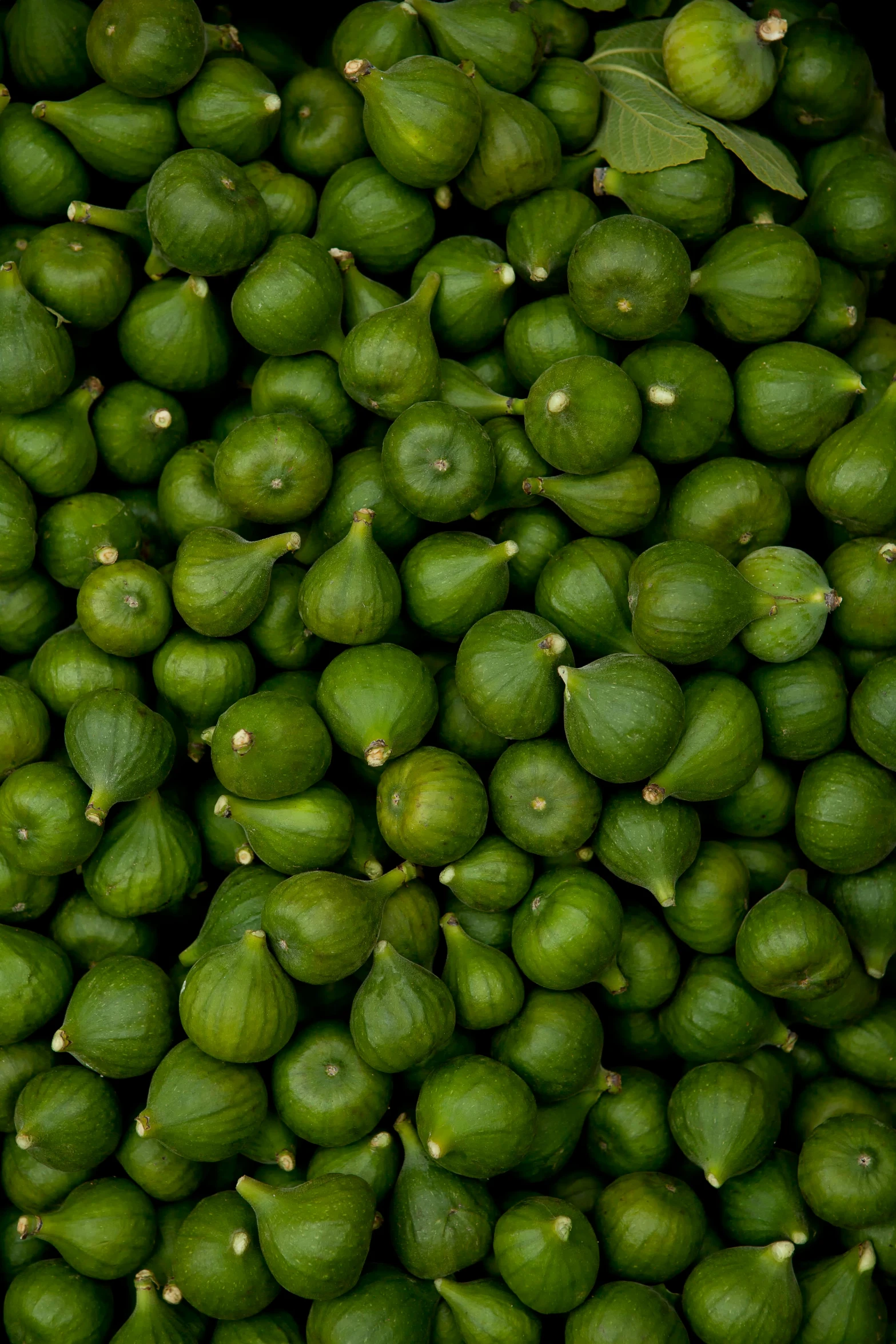 the large pile of limes is piled together