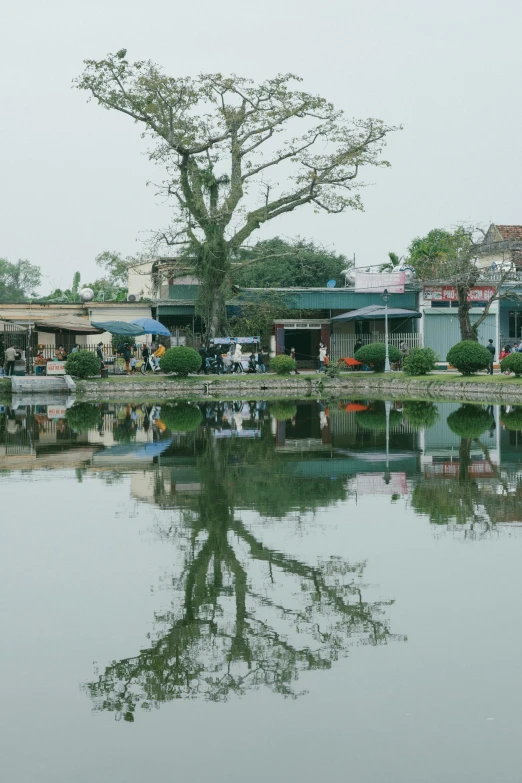 a lone tree sitting in the middle of a body of water