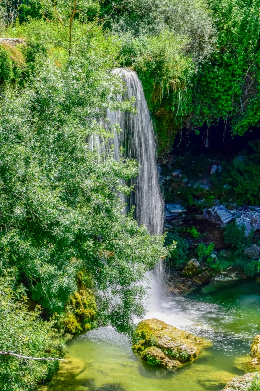 the waterfall that runs through the woods is one of many wonders to see in this state