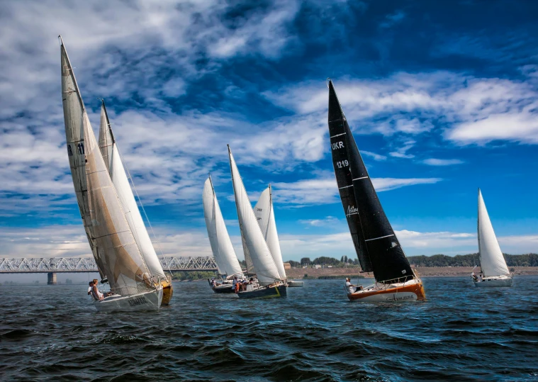 a group of sail boats out on the water