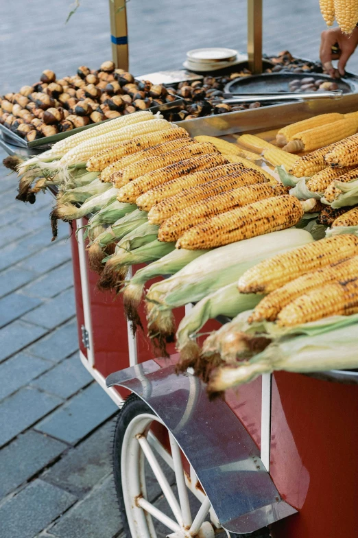 a buffet cart with corn on the cob on top of it