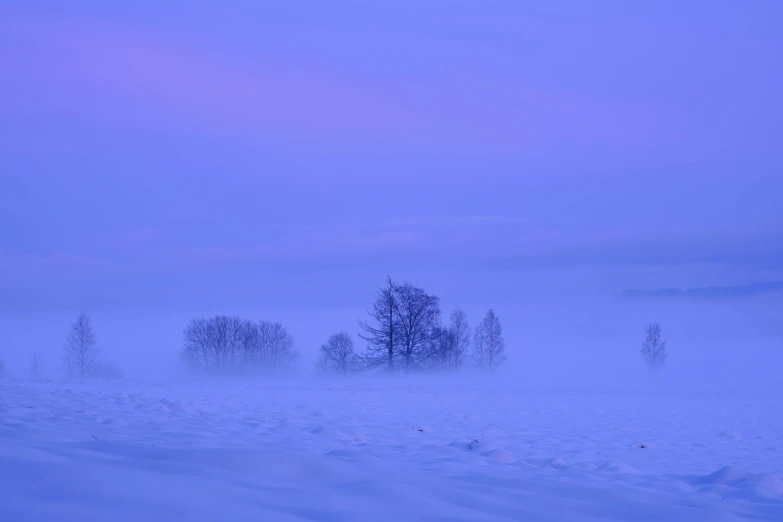 an empty field covered in snow on a foggy day