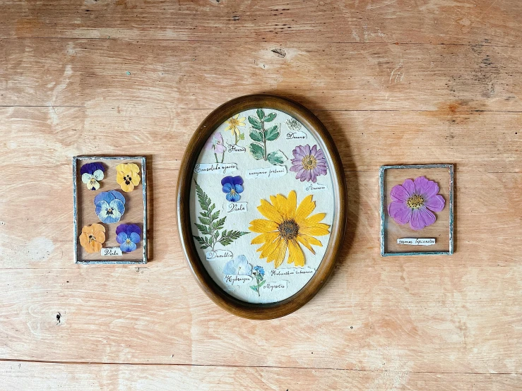 three different pictures with different flowers on them