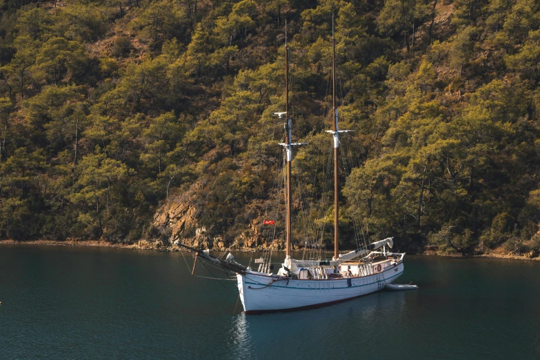 boat sailing on the water near a forest