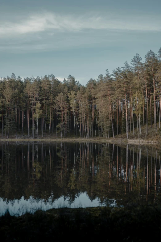 a calm pond in front of trees on a cloudy day