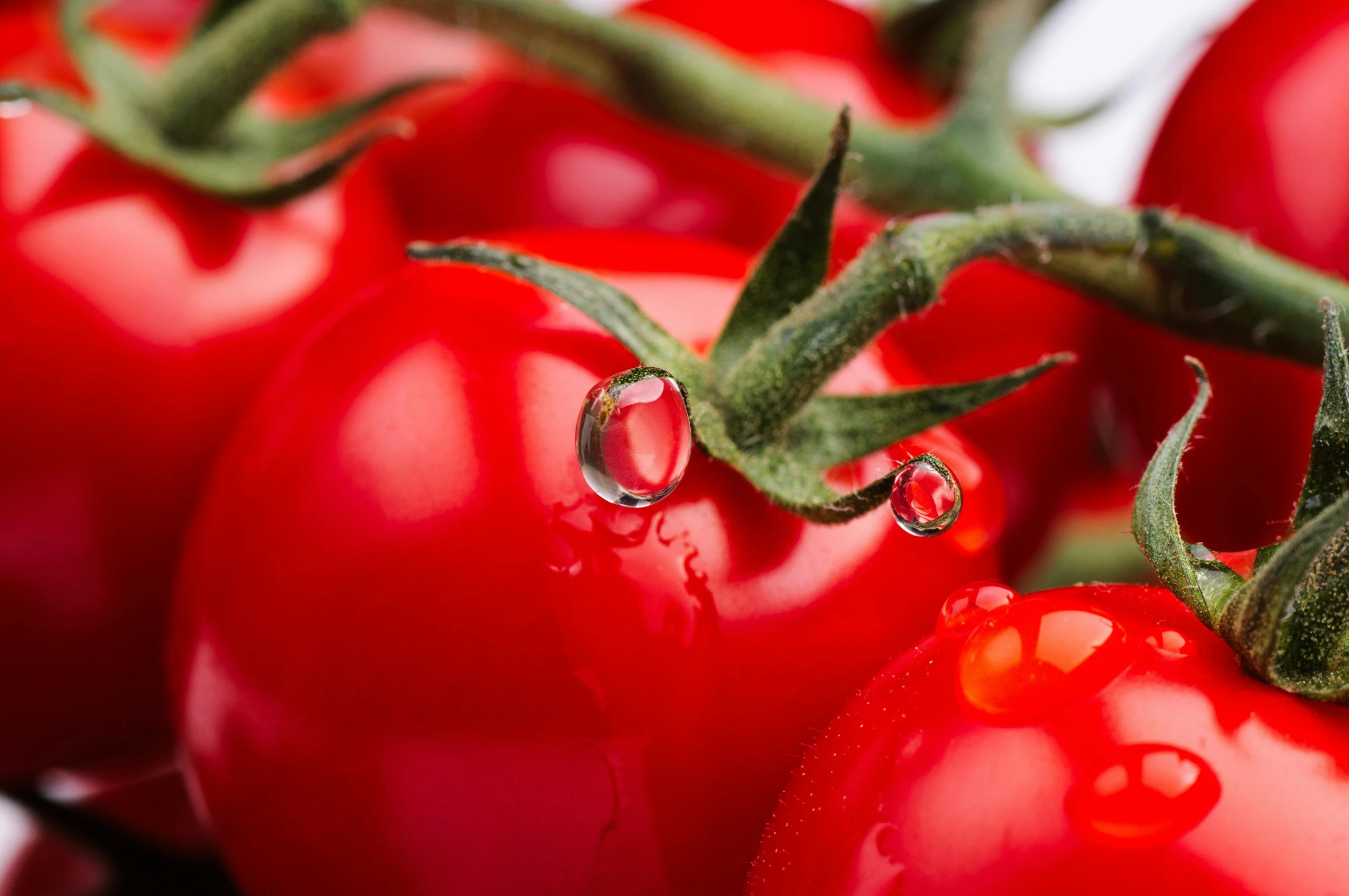 a closeup po of some tomatoes