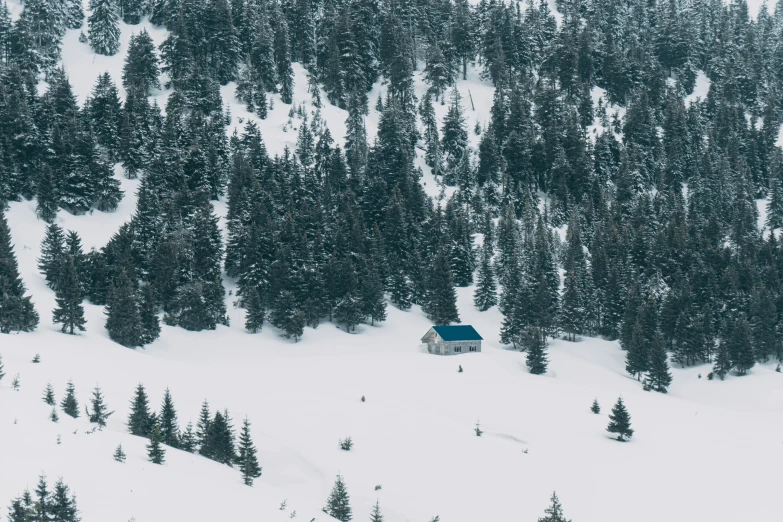 a blue cabin sitting in a mountain area