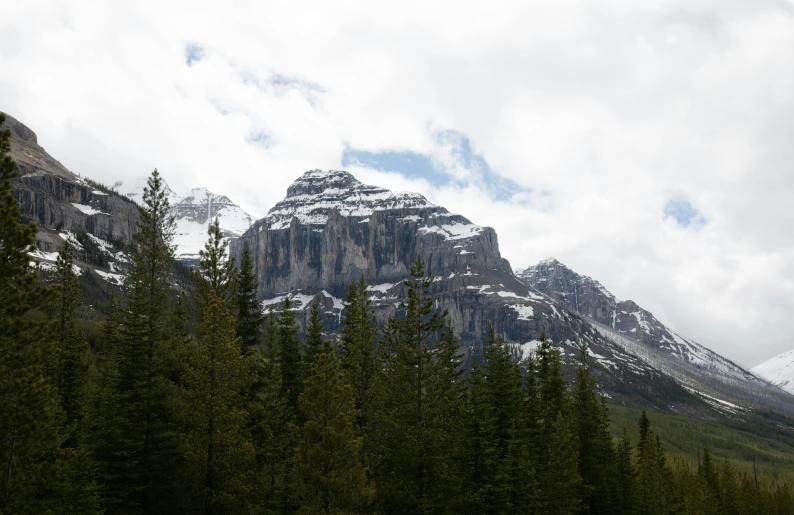 trees are in the foreground with mountain tops in the background