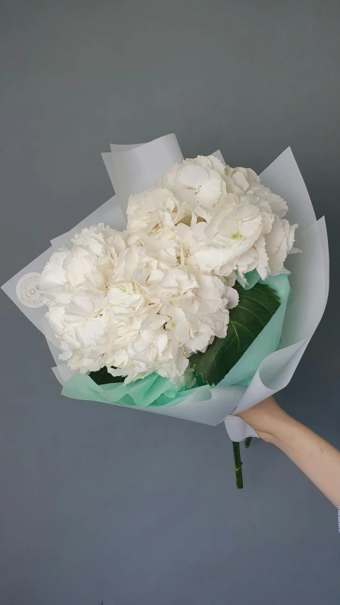 the paper is open to hold white flowers