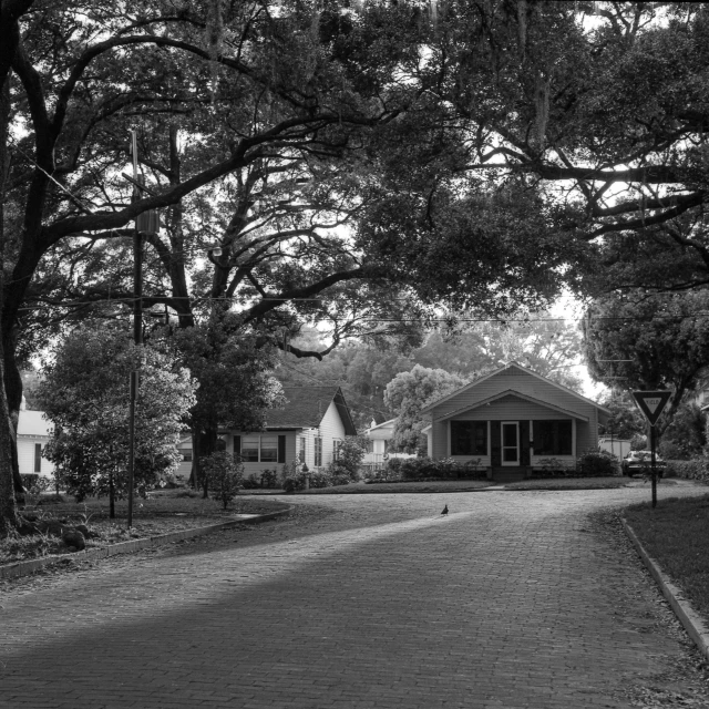 black and white po of a house on a road