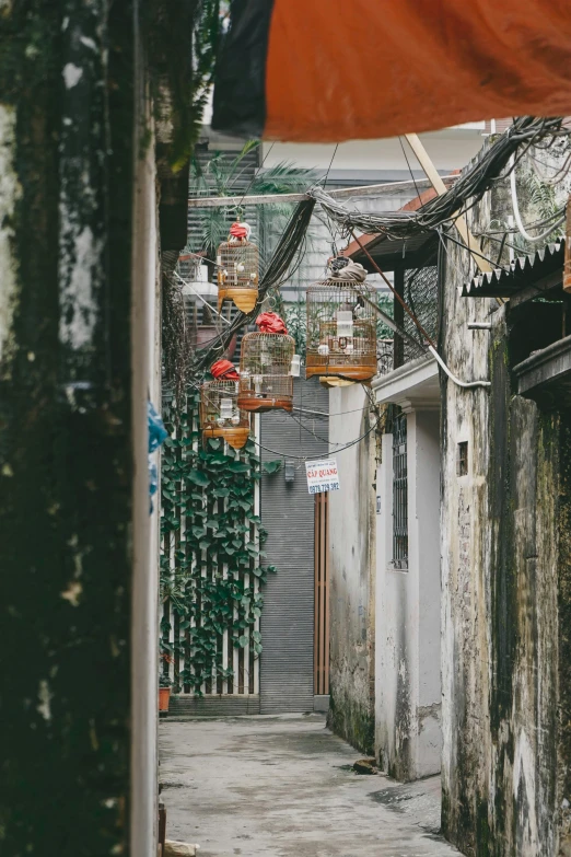 a narrow street is shown with many cages above it