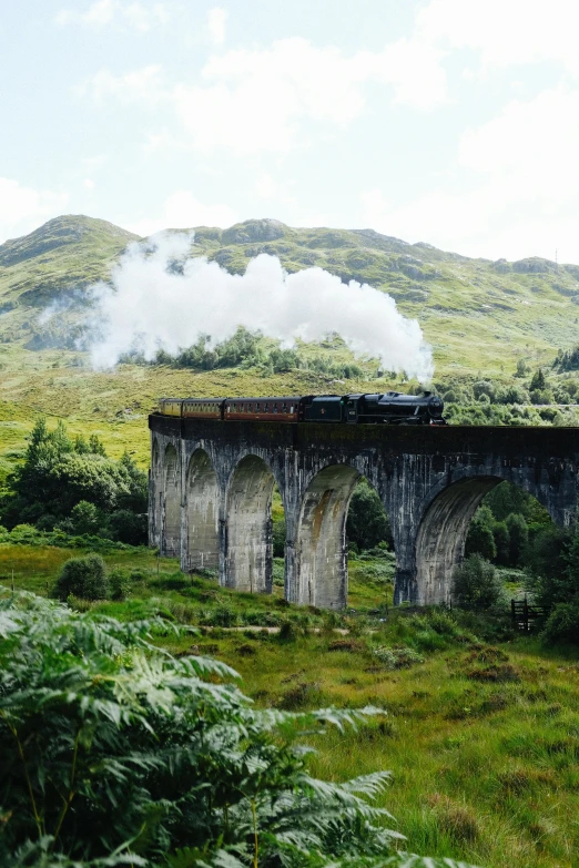 train traveling over a bridge covered in steam