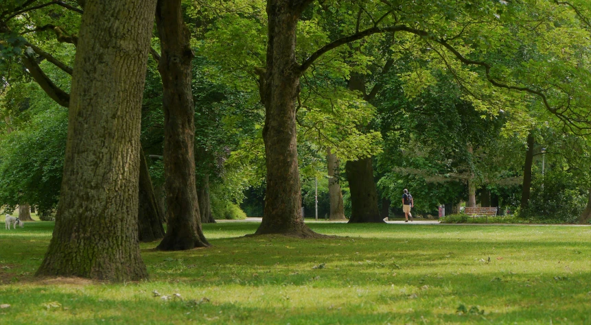 a man that is walking in the grass