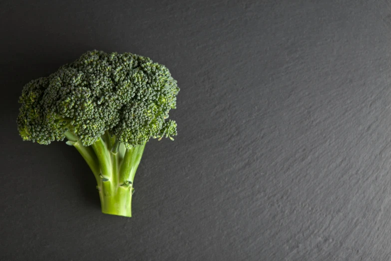 a close up of a piece of broccoli against a gray background