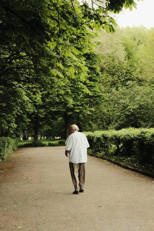 a person walking down a trail next to trees