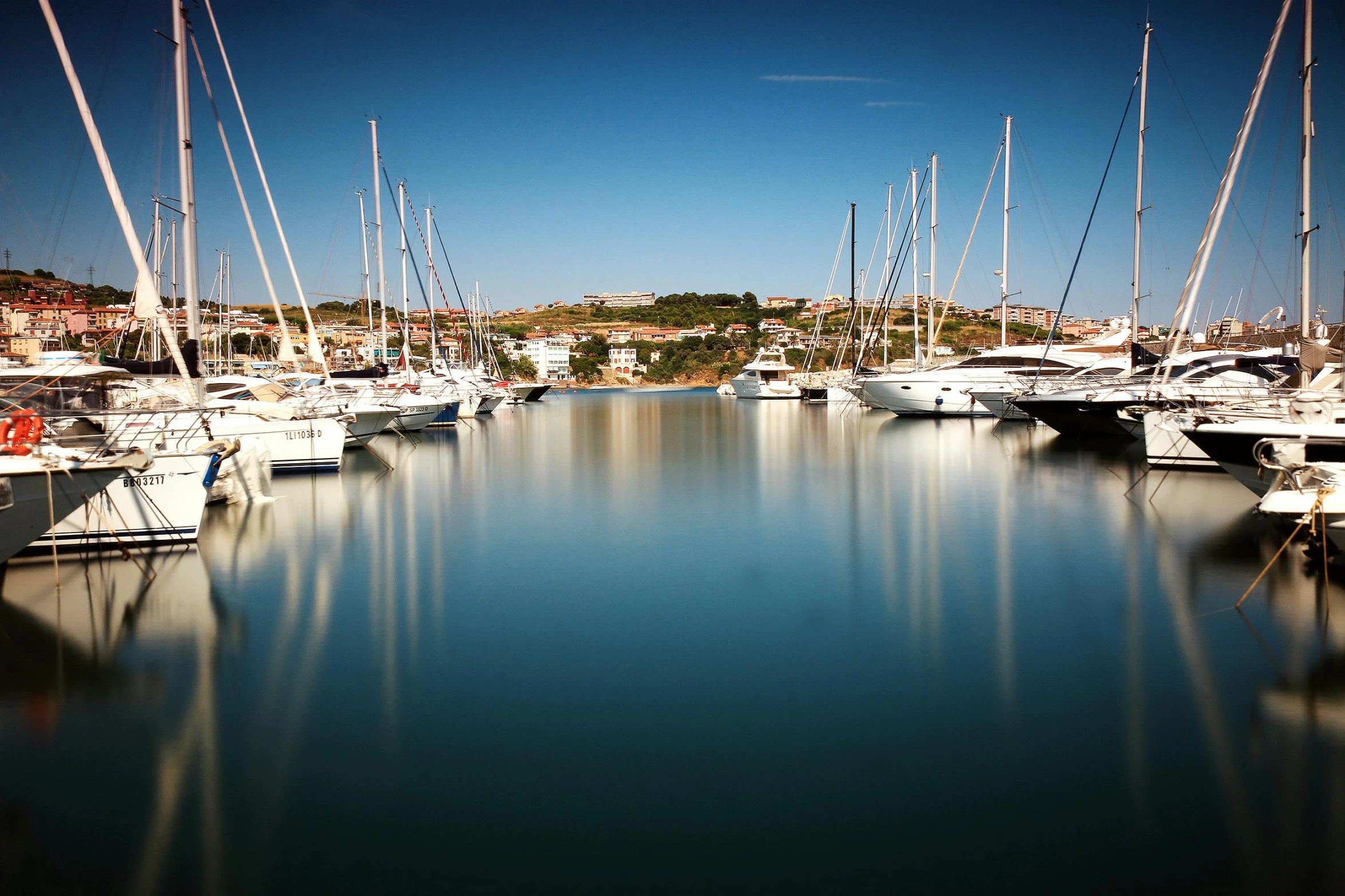 many white boats are docked and a city is in the background