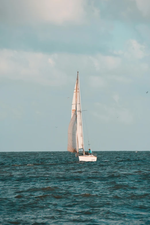 a boat with two white sails in open water