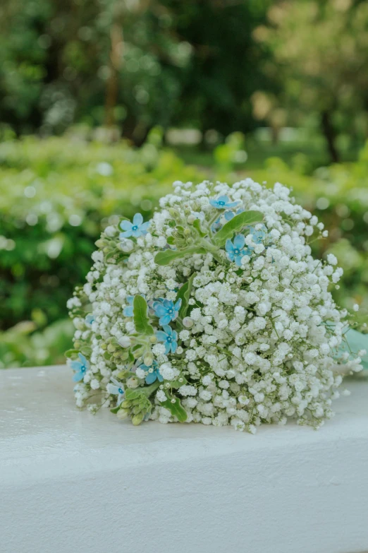 a bunch of small white flowers on a white table