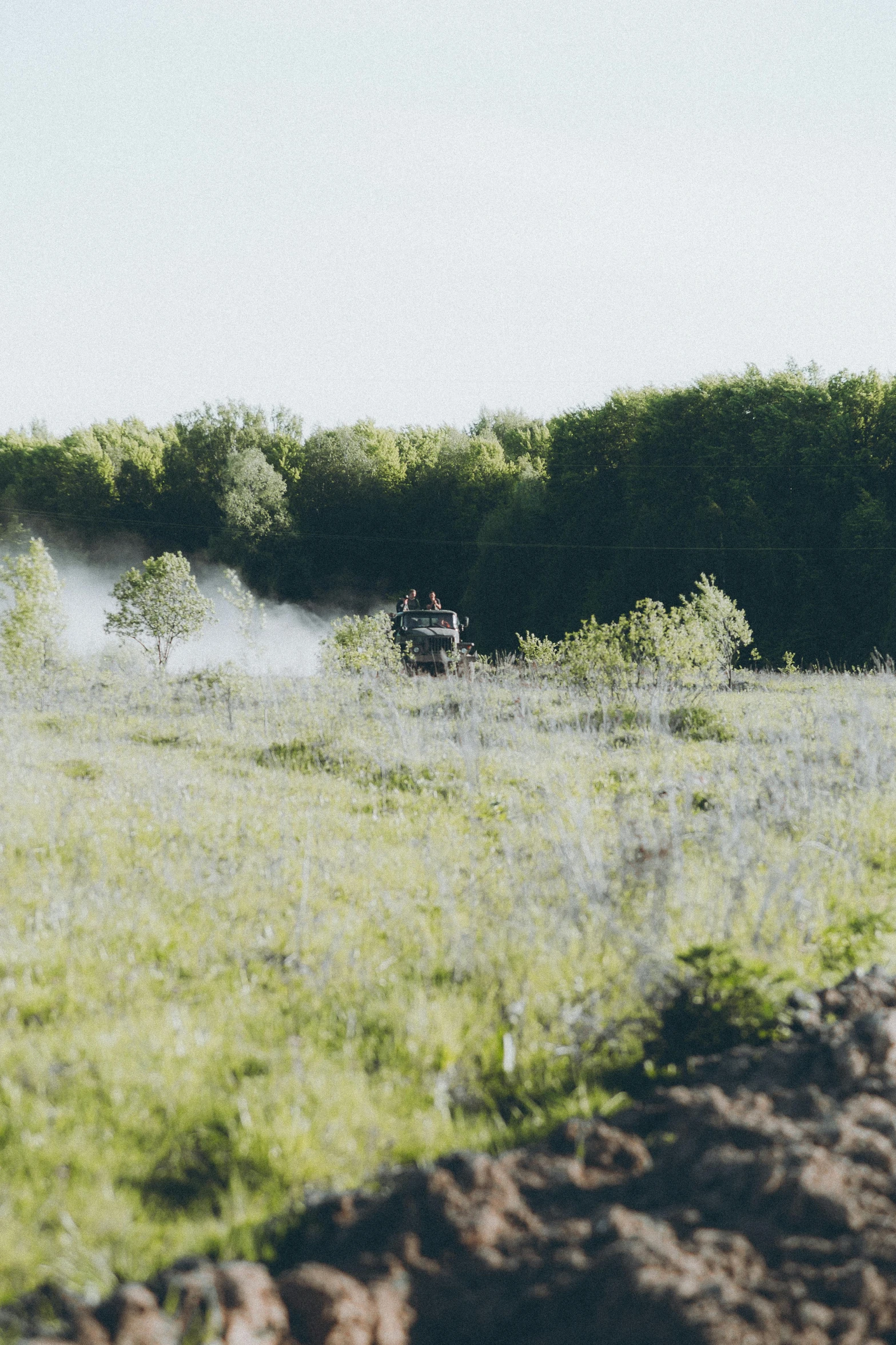 an empty field has many bushes and trees