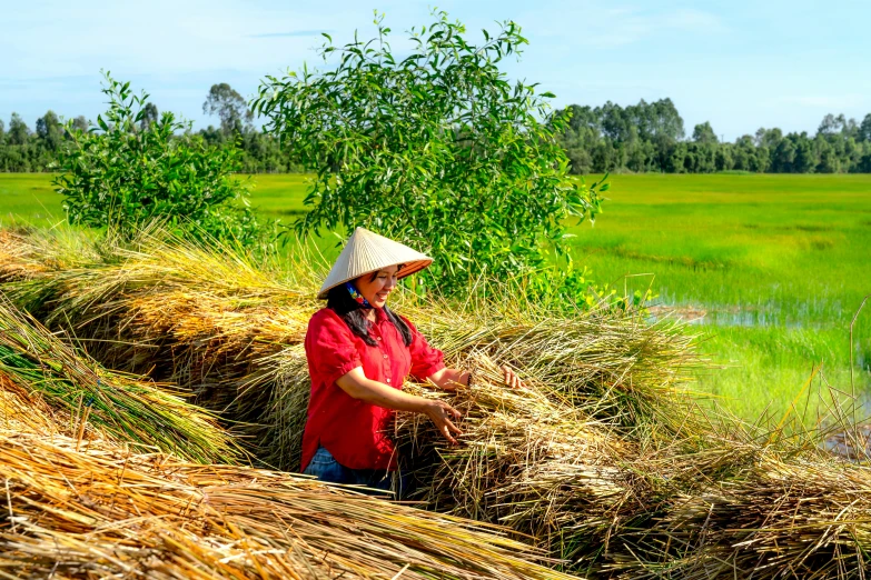 a person stands by some grass and trees