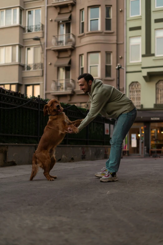 the man plays with his dog in the city