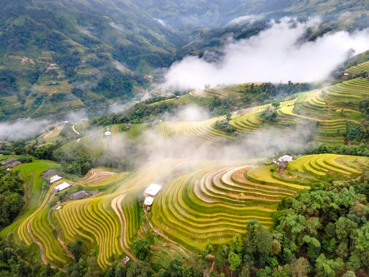 a rice terraces are surrounded by clouds in the distance