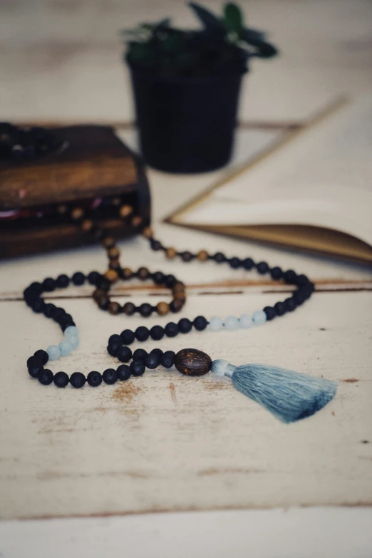 a rosary with a blue tassel is shown in front of a plant