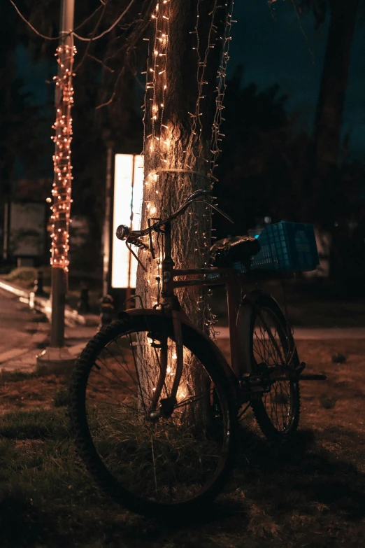 a bicycle that is standing on the side of a tree