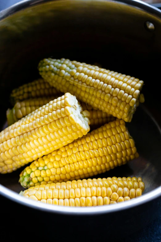 fresh corn on the cob, cooked and in a pot