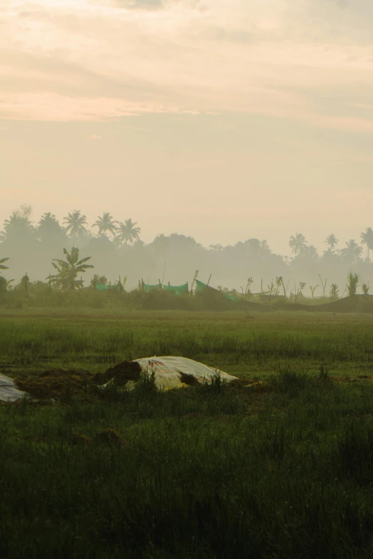 a man on a dirt path with his horse on a field