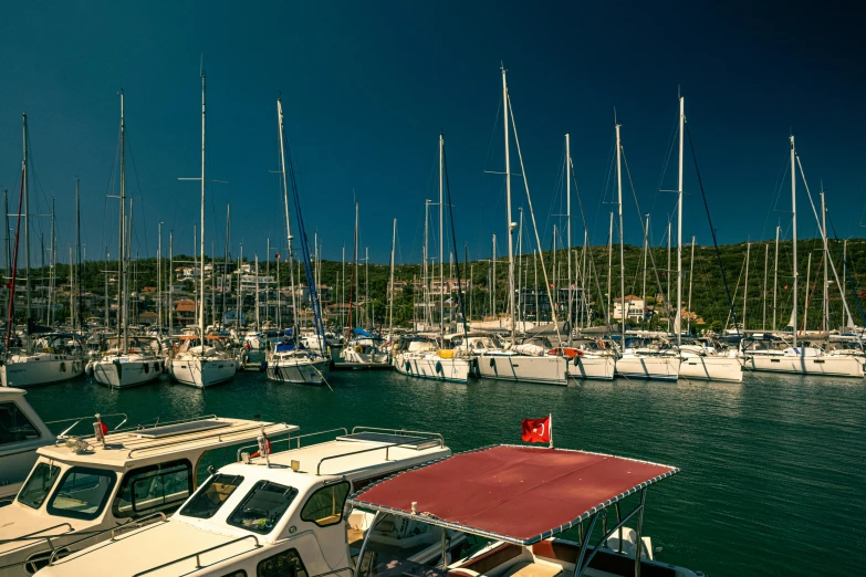 boats parked at a marina with hills in the background