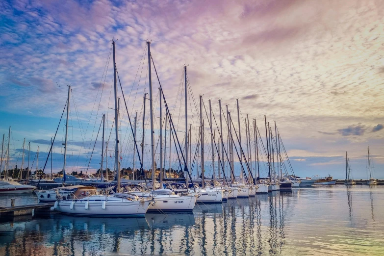 there are many sailboats moored in this large marina