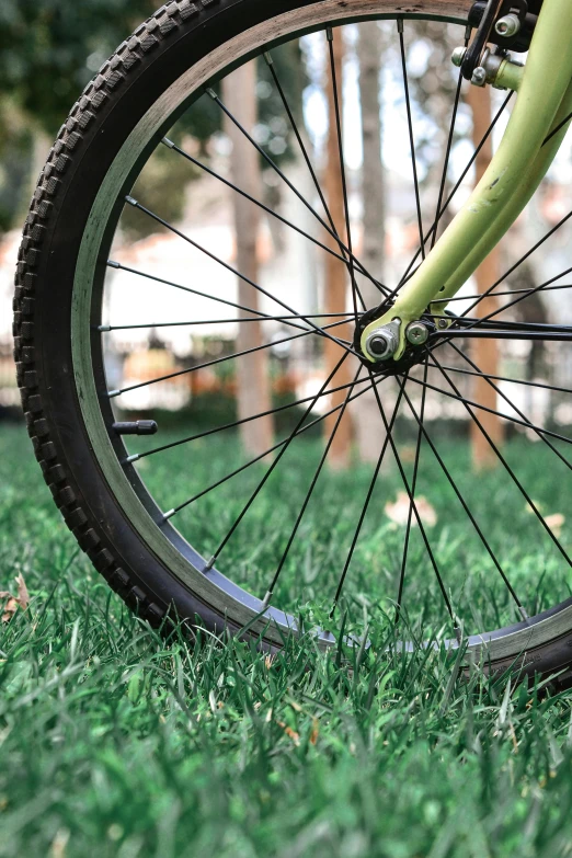 the front wheel of a bicycle, the front wheel with the spokes on grass