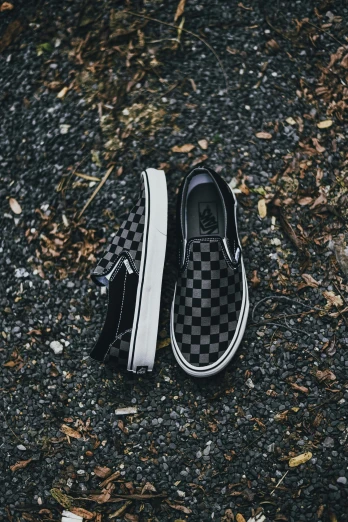 vans on the ground wearing white trims