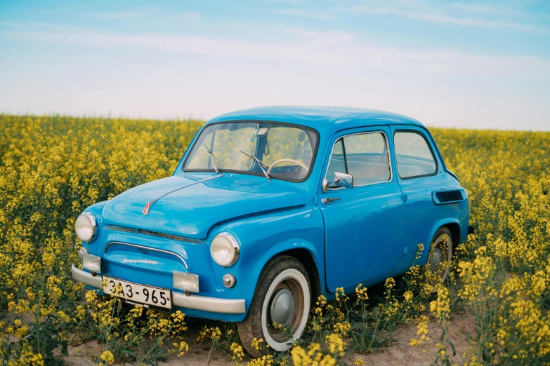 a small blue car parked in a field of flowers