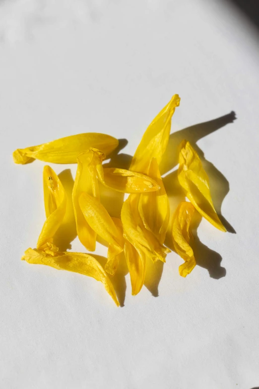 several pieces of cut up yellow flowers that appear to have been picked from a flower pot