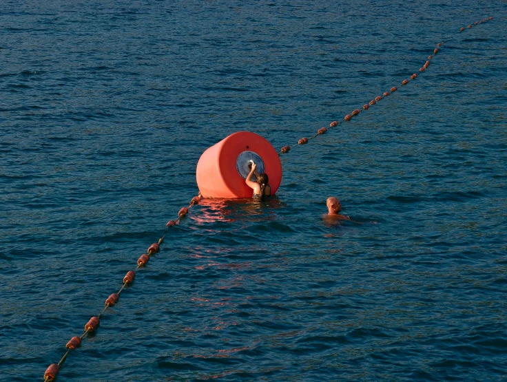 the large swan floats in the ocean with an orange object