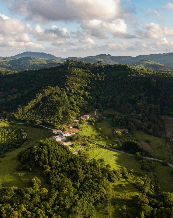 a lush green hillside surrounded by mountains