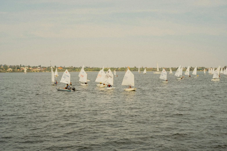 several sailboats in the water in a large body of water