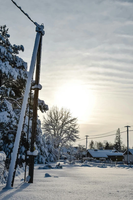 a street light is covered in snow near trees