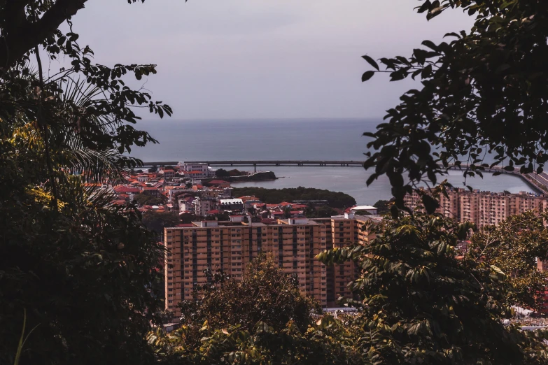 city and a harbor with a bridge as the distance