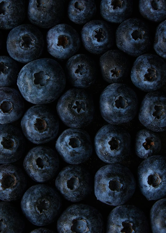 blueberries with holes are grouped together in a large group