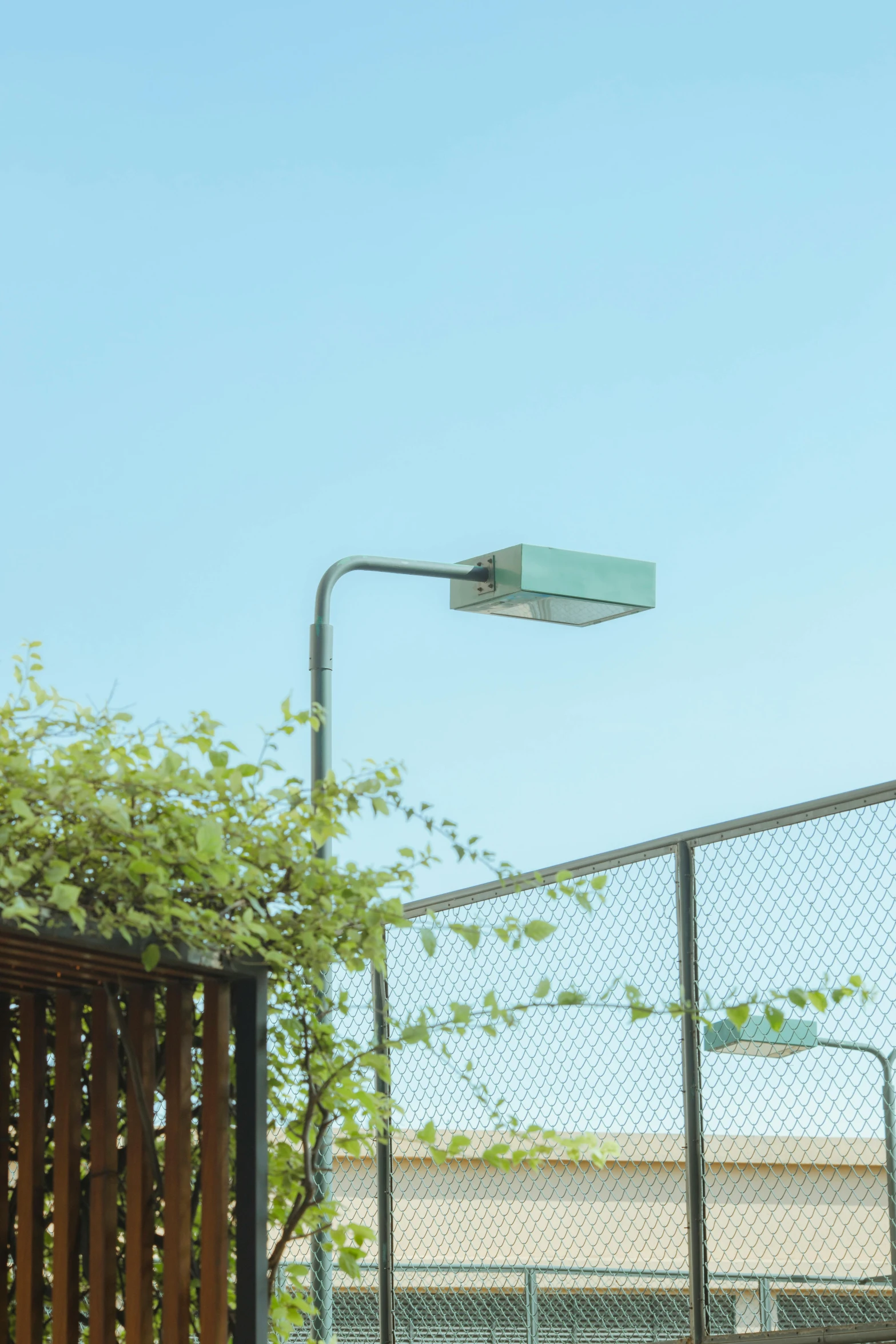 a gate is next to a street sign with vines hanging below